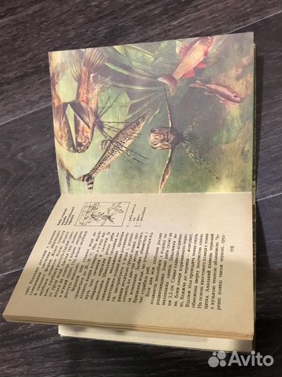 Книга «Аквариумные рыбы»