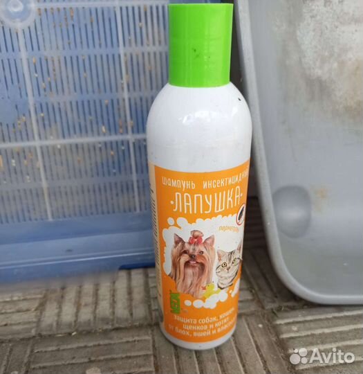 Лотки для кошек все за шоколадку