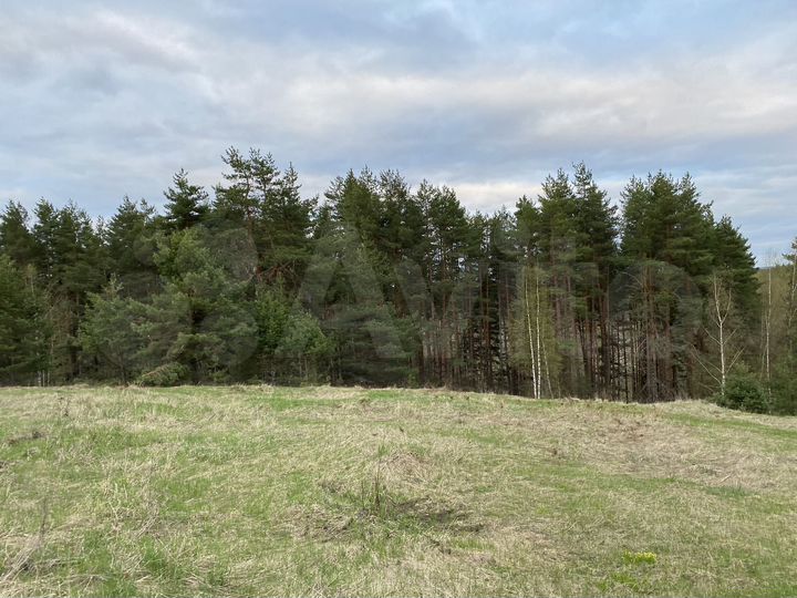 Участок 100 сот. (СНТ, ДНП)