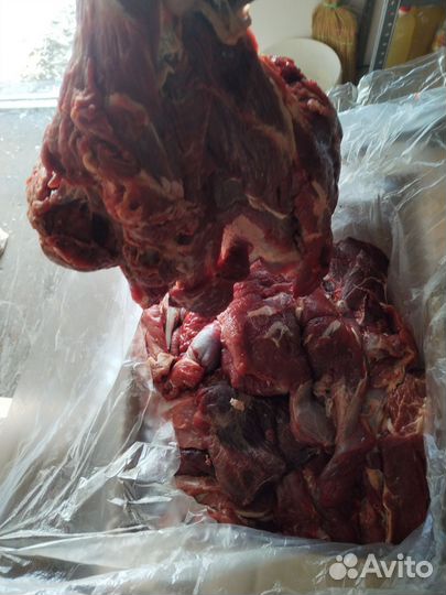 Мясо говядина