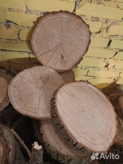 Спилы дерева