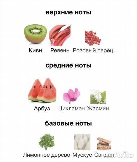 Распив D&G Anthology L'Imperatrice 3