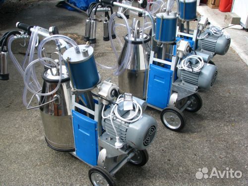 Доильный аппарат Милка бидон Stad