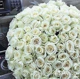 Розы Высокие 150см 160см 170см 180см 190см 2м