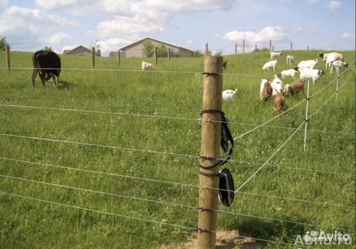 Электропастух EPU-2 12/220В, 2 дж