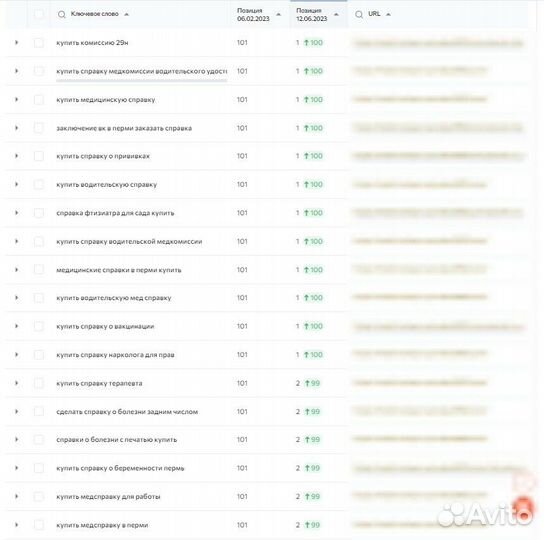 Продвижение сайтов в Новосибирске