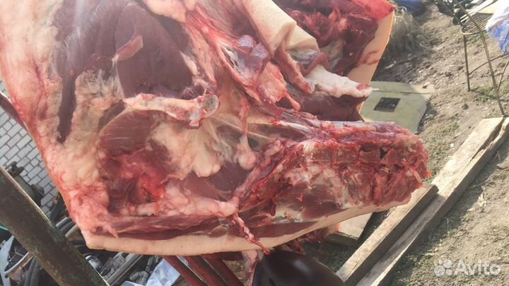 Мясо Сало Печень Ливер свинина домашнее