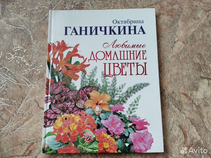 Домашние любимые цветы Ганичкина Октябрина