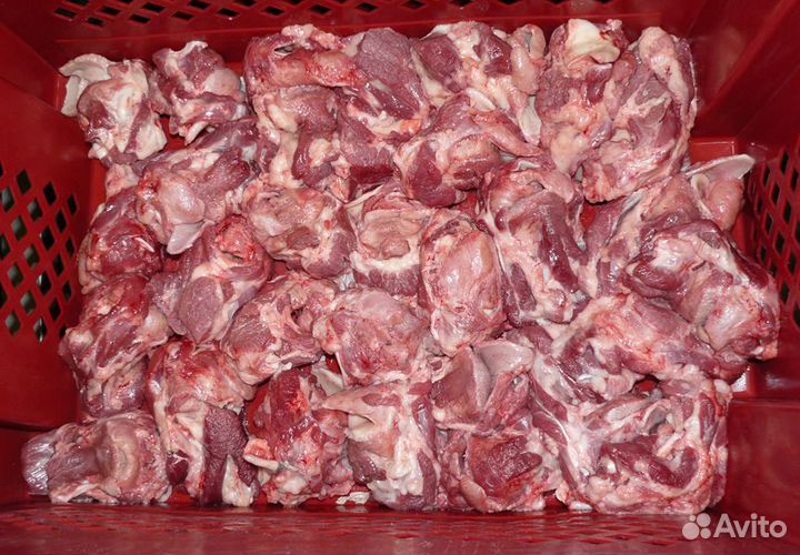 Лакомства для собак