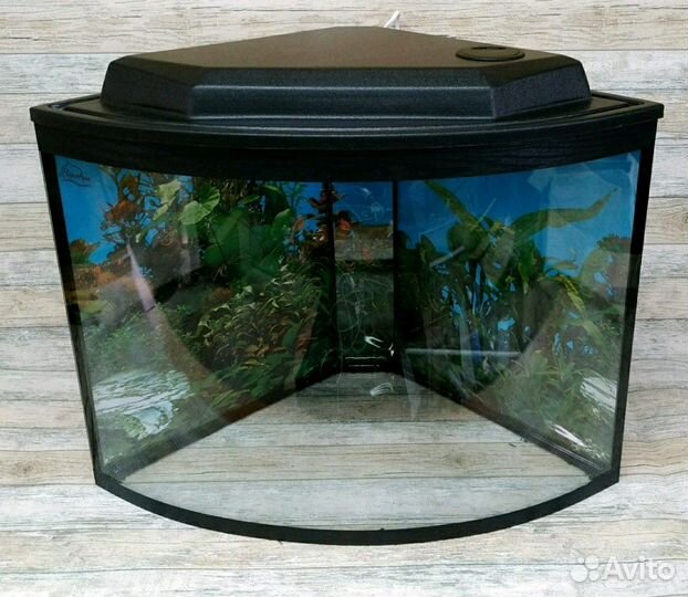 Аквариум угловой сферический 60 литров