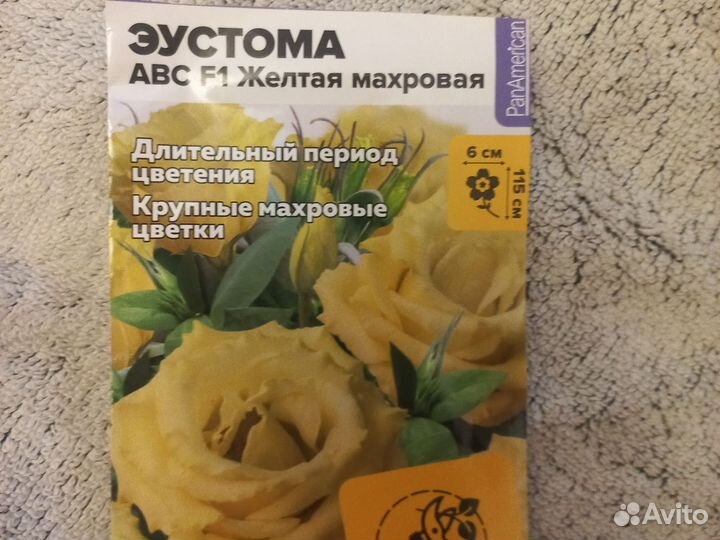 Эустома рассада