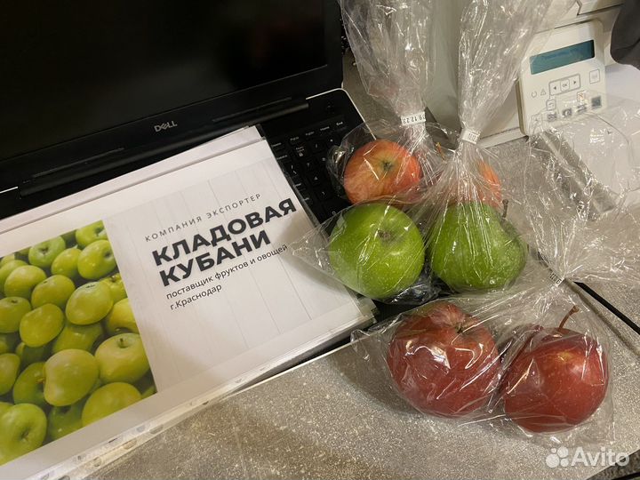 Продажа яблоки оптом