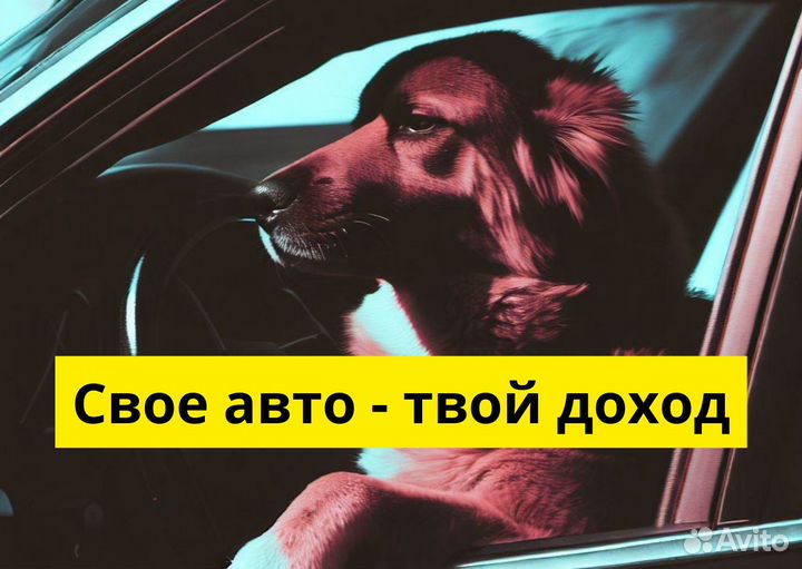 Ваш т/с – ваша работа в Яндекс Go