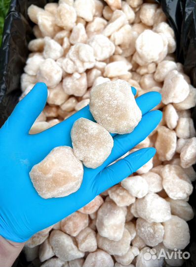 Оптом Гребешок Сахалинский