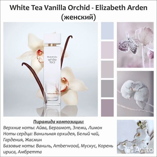 Парфюм Elizabeth Arden, Fendi, Ex Nihilo, Kenzo