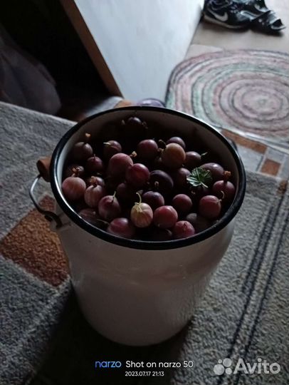 Крыжовник красный