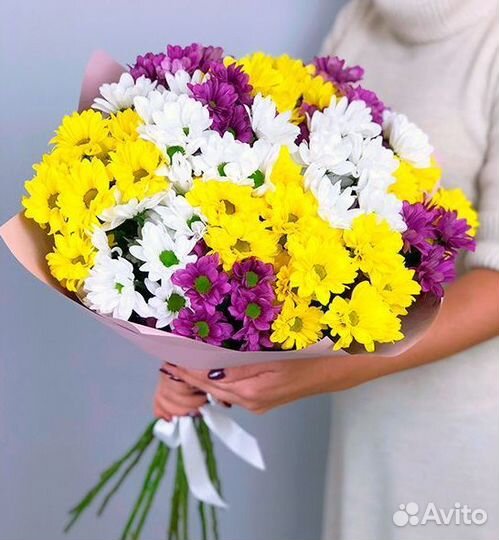 Хризантема кустовая опт