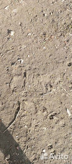 Средство от сорняков (Промышленный гербицид)