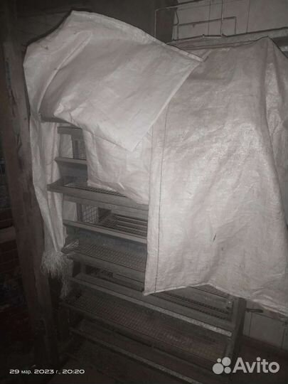 Клетки для перепелов бу