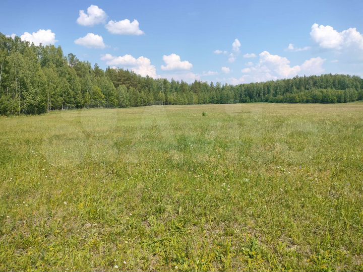 Участок 13,2 га (СНТ, ДНП)