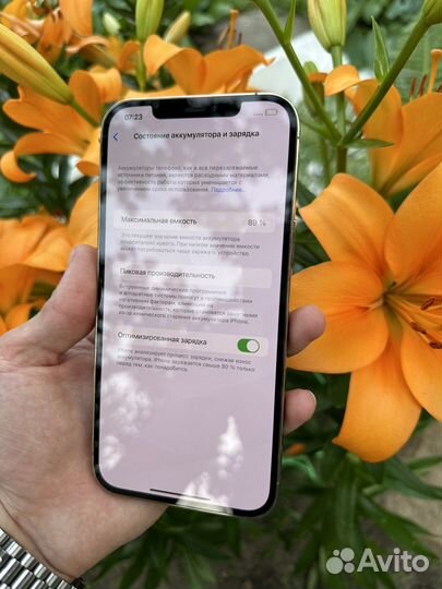 iPhone 12 Pro Max 256Gb