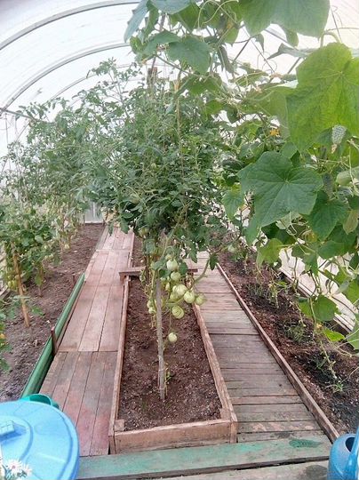 Дача 51 м² на участке 6 сот.