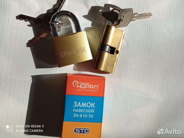 Замок и личинка