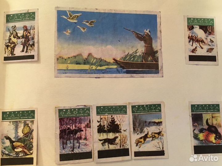 Коллекция этикеток от спичечных коробков