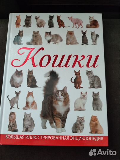 Книга о кошках
