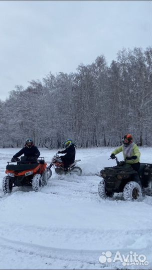 Прокат квадроциклов