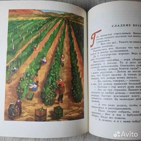 Здравствуй, папа Яхьяев. 1982 г