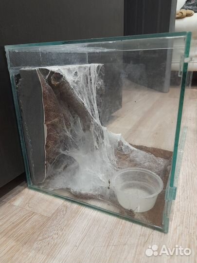 Продам террариум для паука