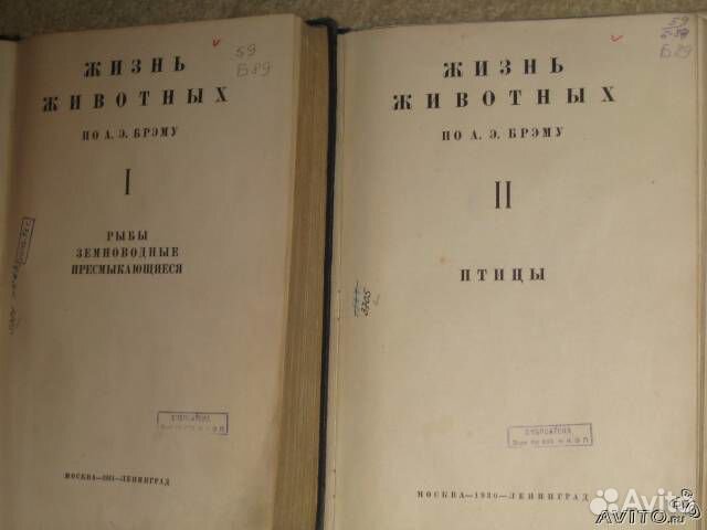 Старинная книга