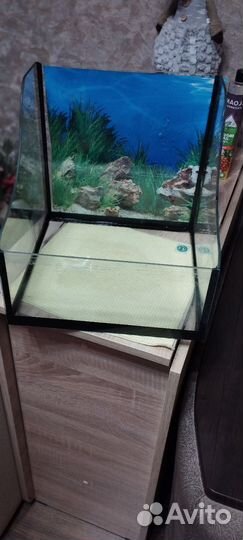 Террариум для красноухой черепахи