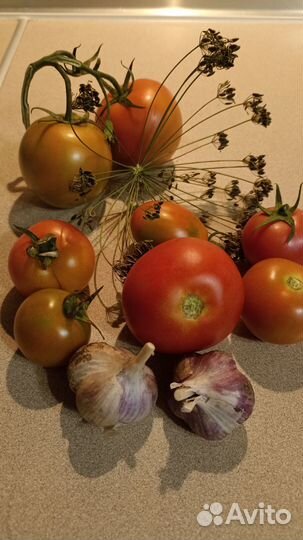 Свежие помидоры, баклажаны
