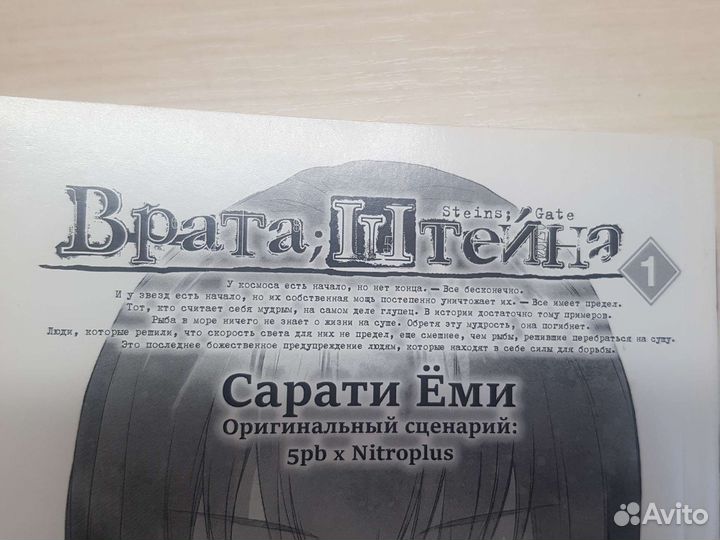 Манга манхва Врата; Штейна