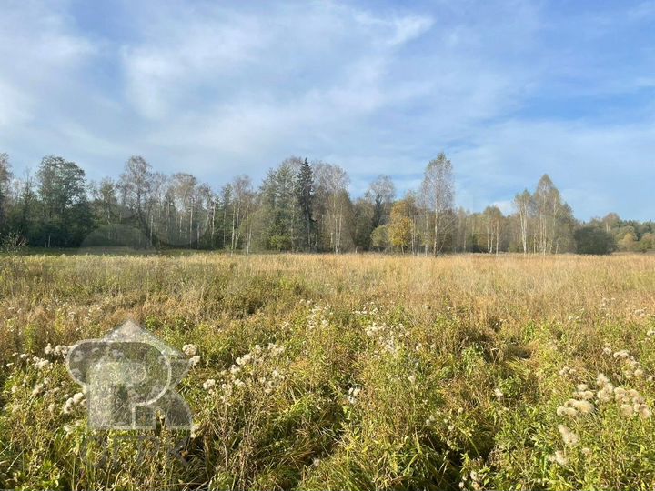 Участок 1,2 га (СНТ, ДНП)