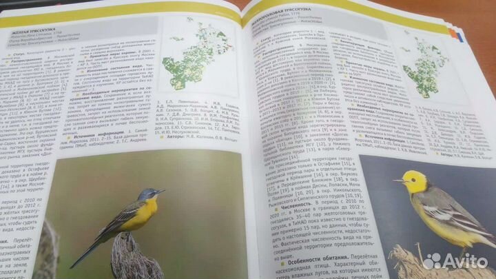 Новое издание Красной книги Москвы, 2022