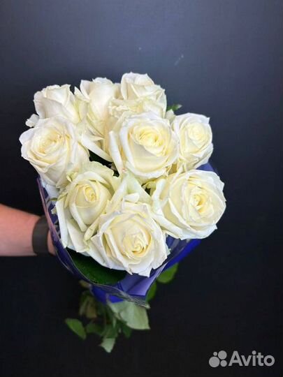 Роза одноголовая Опт