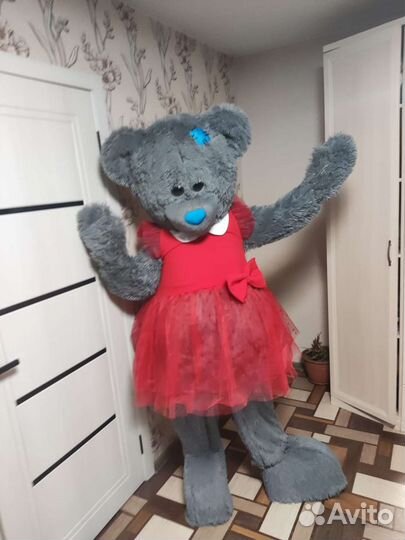 Поздравление от Мишки Тедди, заи или белого мишки