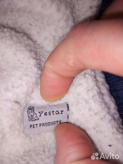 Собачий джинсовый комбинезон