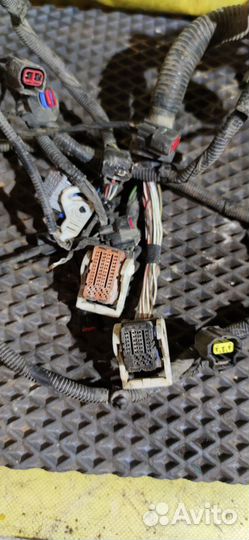 Коса подкапотная(проводка) Ford Focus