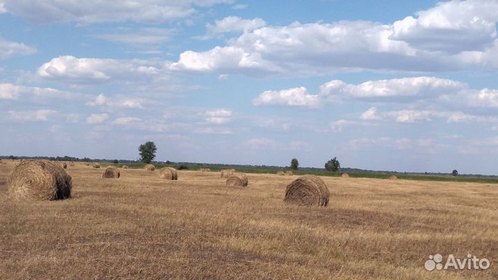 Сено рулонное