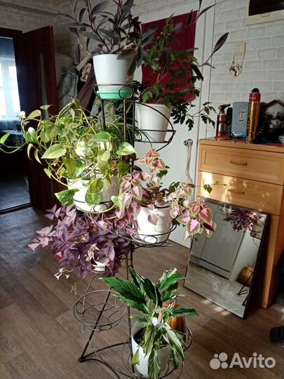 Подставка для цветов напольная металлическая