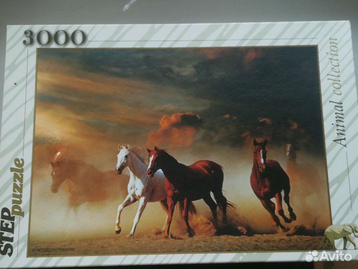 Пазлы 3000 деталей