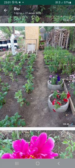 Участок 7,7 сот. (СНТ, ДНП)