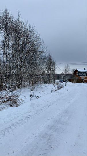 Участок 100 сот. (СНТ, ДНП)