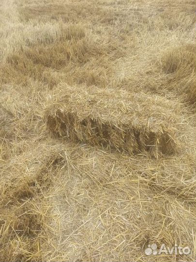 Солома в тюках