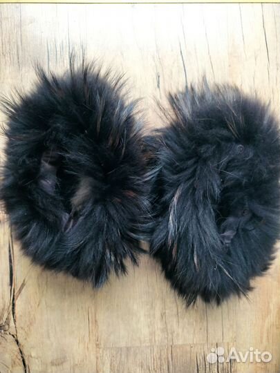 Воротник, енот