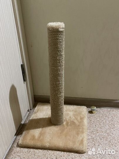 Когтеточка